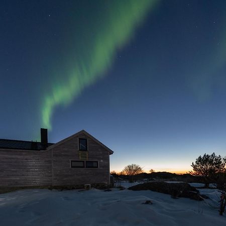 Koselig Bolig I Lofoten / Vesteralen Stronstad i Vesteralen Exterior foto